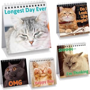 30-Count Cat Desk Signs: $5.99
