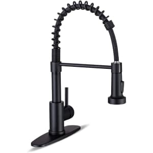 Kitchen Faucet w/ Pull Down Sprayer: $50