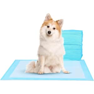 Pet Supplies Surplus at Woot: Up to 84% off