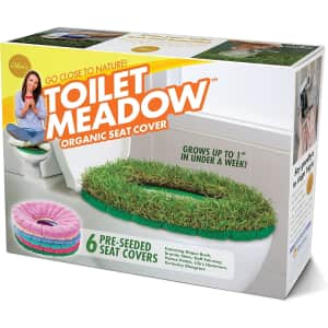 Toilet Meadow Prank Gift Box: $6 Toilet Meadow Prank Gift Box: $6