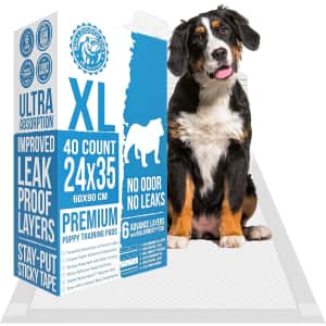 Amazon Outlet Pet Supplies: Up to 70% off Amazon Outlet Pet Supplies: Up to 70% off