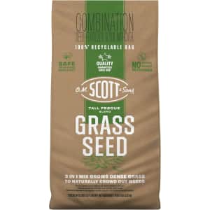 O.M. Scott and Sons Tall Fescue Blend Grass Seed 8-lb. Bag: $33 O.M. Scott and Sons Tall Fescue Blend Grass Seed 8-lb. Bag: $33