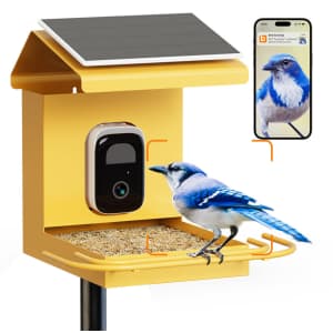 Birdhi Solar-Powered Smart Metal Bird Feeder w/ Camera: $85 Birdhi Solar-Powered Smart Metal Bird Feeder w/ Camera: $85