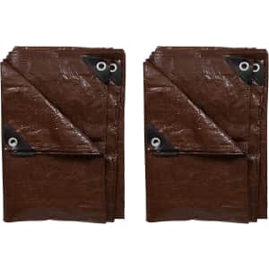 Stansport 5x7-Foot Light-Duty Rip-Stop Tarp 2-Pack: $11 Stansport 5x7-Foot Light-Duty Rip-Stop Tarp 2-Pack: $11
