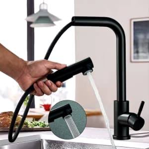 Kitchen Faucet Pull-Out Sprayer: $21