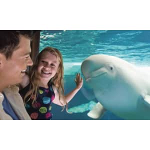 SeaWorld Parks 3-Day Flash Sale at Groupon: Up to 79% off + free meal SeaWorld Parks 3-Day Flash Sale at Groupon: Up to 79% off + free meal