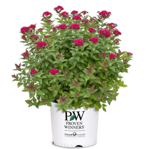 Home Depot Top Rated Garden and Tool Deals: Up to 62% off