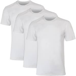 Hanes Men's X-Temp Mesh T-Shirt 3-Pack: $7.37