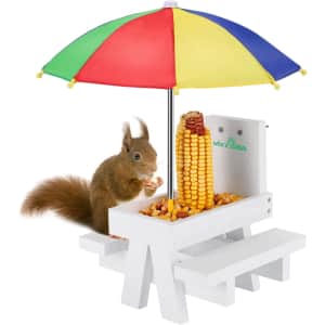 Squirrel Feeder Table with Umbrella: $18
