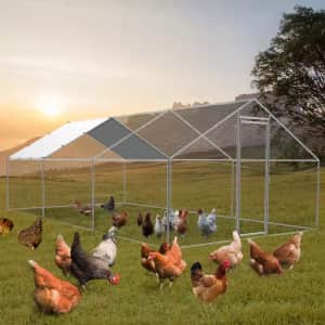 19 x 9-Foot Chicken Run: $266.73
