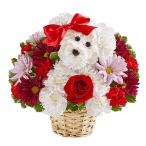 1-800-Flowers Beat the Clock Sale: Up to 50% off