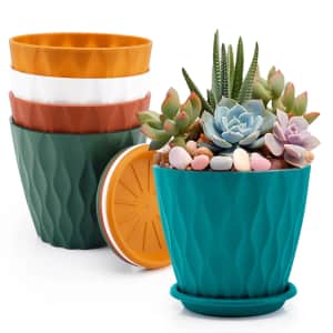 Live Plants and Planters Flash Deals at Walmart: Up to 60% off
