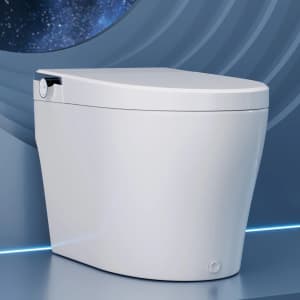 DeerValley Smart Toilet: $599 DeerValley Smart Toilet: $599