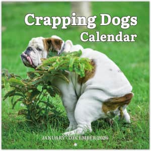 Crapping Dogs 2026 Wall Calendar: $7.91 Crapping Dogs 2026 Wall Calendar: $7.91