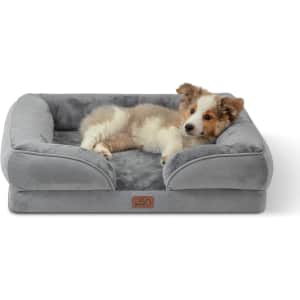 Amazon Pets Cyber Monday Deals: Up to 70% off Amazon Pets Cyber Monday Deals: Up to 70% off