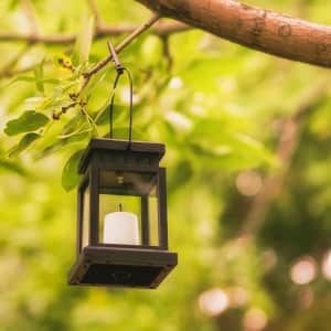 Solpex Solar Lantern 8-Pack: $20 w/ Prime
