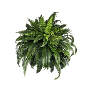 Woot White Elephant Gift Deals: Up to 55% off Woot White Elephant Gift Deals: Up to 55% off