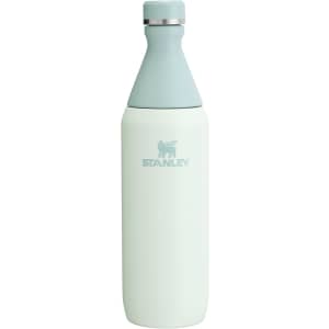 Stanley All Day Slim 20-oz. Bottle: $15