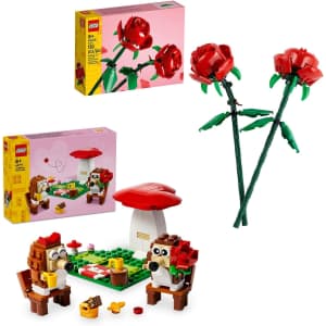 LEGO Roses + LEGO Hedgehog Picnic Date: $20