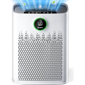 EcoSelf HEPA Air Purifier for up to 2,400-sq. ft. Rooms: $39.49