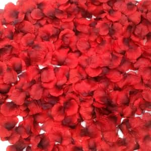 Dark-Red Silk Rose Petals 2200pc Set: $7.99