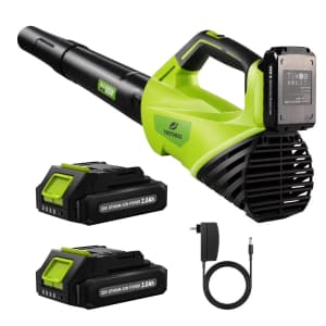 Firstness 20V Cordless Leaf Blower w/ 2 Batteries & Charger: $48.79 Firstness 20V Cordless Leaf Blower w/ 2 Batteries & Charger: $48.79