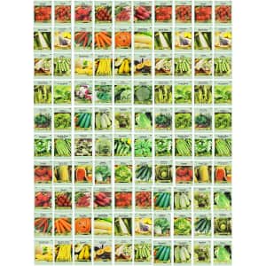 Valley Greene Non-GMO Deluxe Heirloom Vegetable Seeds 100-Pack: $22