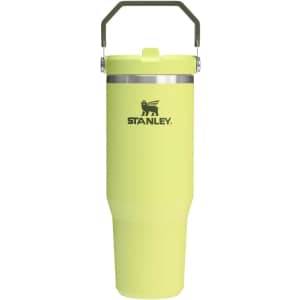 Stanley IceFlow 2.0 30-oz. Flip Straw Tumbler: $23