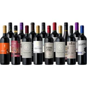Splash Wines Fall Faves Cab & Malbec 15-Pack: $100