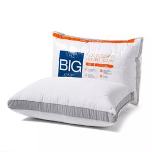 The Big One Standard/Queen Quilted Side Sleeper Bed Pillow: $9.59