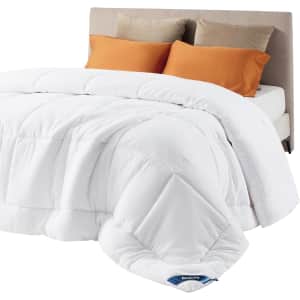 Bedsure Queen Comforter Duvet Insert: $24