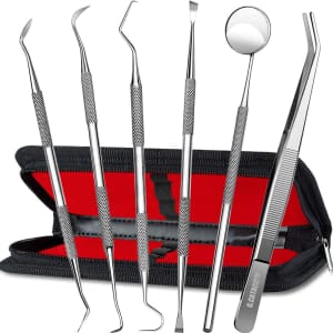 6-Piece Dental Tool Kit: $8 w/ Prime