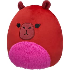 Squishmallows 8" Marcia Maroon Capybara Official Jazwares Plush: $2 Squishmallows 8" Marcia Maroon Capybara Official Jazwares Plush: $2