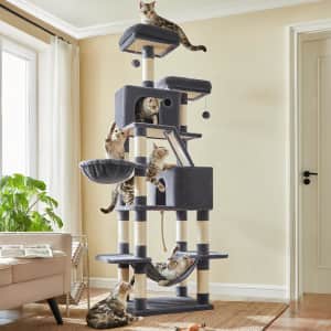 81" Cat Tree: $78