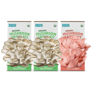 Back to the Roots Organic Mushroom Grow Kit 3-Pack: $14