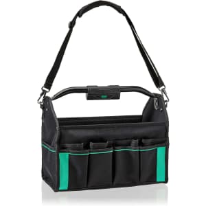 Amazon Basics 30-Pocket Tool Tote: $22