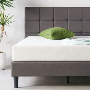 Zinus 8" Green Tea Memory Foam Twin Mattress: $110