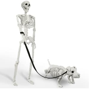 Lighted Human & Dog Skeleton: $36
