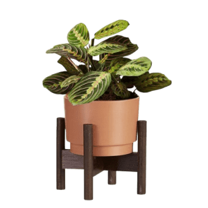 1-800-Flowers Plant and Garden Sale: Up to 30% off 1-800-Flowers Plant and Garden Sale: Up to 30% off