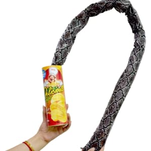 The Potato Chip Snake Can: $8.99