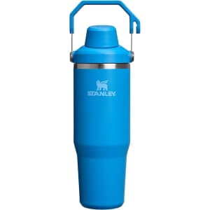 Stanley IceFlow 2.0 Fast Flow 30-oz. Tumbler: $18