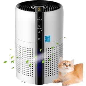 Docalon Air Purifier w/ Reusable True HEPA 13 Filter: $41.99 Docalon Air Purifier w/ Reusable True HEPA 13 Filter: $41.99