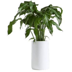 Crate & Barrel Clearance: Up to 80% off Crate & Barrel Clearance: Up to 80% off