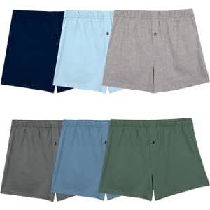 Fruit of the Loom Men's Tag Free Knit Boxer Shorts 6-Pack: $15