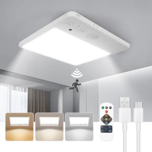 Rechargeable Ceiling Light: $12