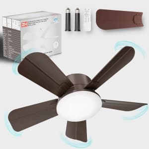 OKYUK 17in Ceiling Fan with Lights and Remote: $9.99
