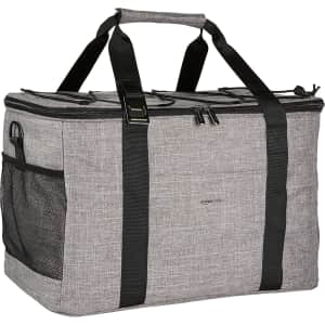 Amazon Basics 50-Can Soft Insulated Cooler: $21