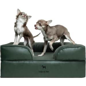 Noah & Paw Medium Orthopedic Dog Bed: $52.49 Noah & Paw Medium Orthopedic Dog Bed: $52.49