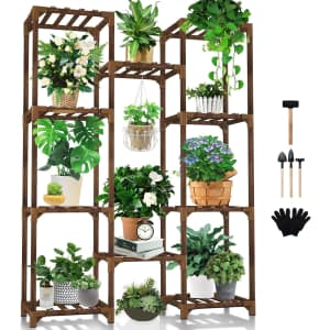 10-Tier Plant Stand: $22