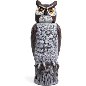 Rotating-Head Owl Decoy: $15